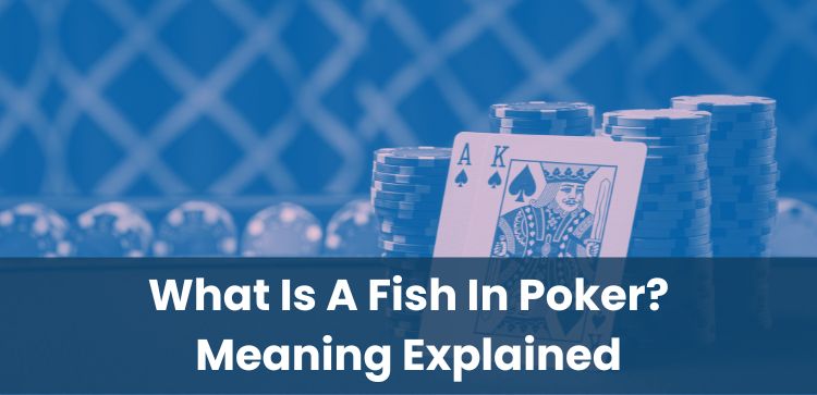 What Is A Fish In Poker? Meaning Explained